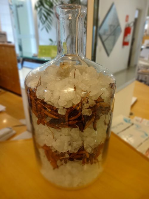 悪いことを追い払う岩塩と乾燥唐辛子を詰めたガラス瓶