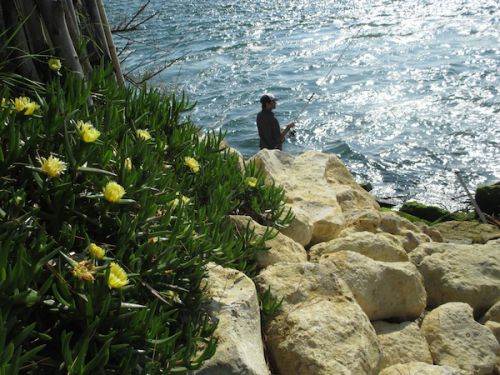5月の連休は、天気に恵まれることが多いのが嬉しいところ