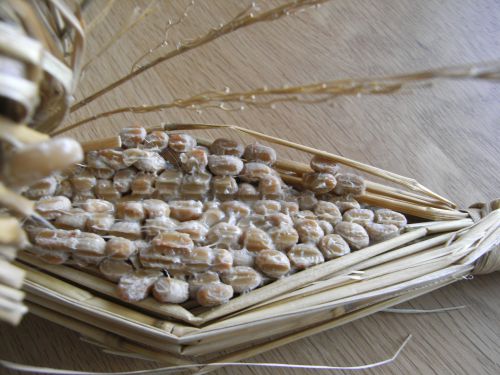 納豆の中