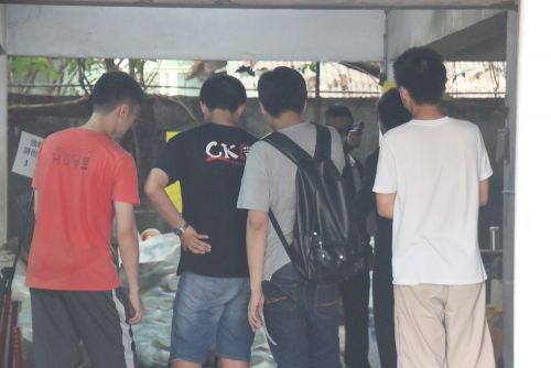 撮影した映像をみんなでチェックします