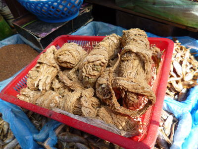 縄にしか見えない