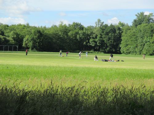 クリケットの様子