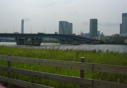 水辺の風が気持ちいいです