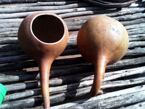 ひょうたんの側面を切って作った「コヨ」。マラカスにそっくり。