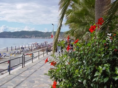 ビーチにハイビスカス・・オランダ人が最も好む、バカンスのイメージ。