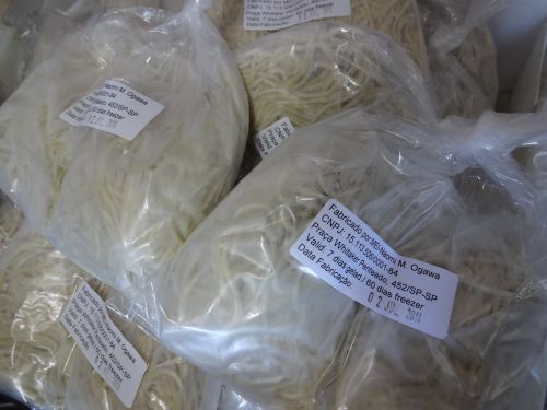 サンパウロ市で小川夫妻が製造しているラーメンの生麺