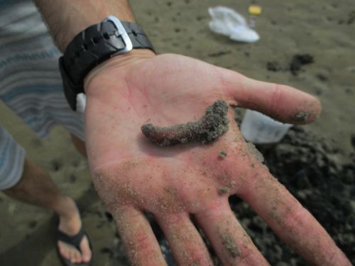 結構大きいでしょ？