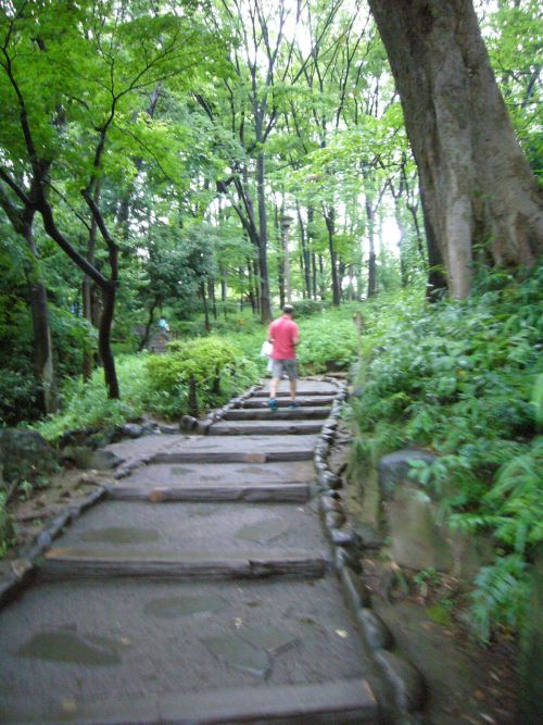 ハイキング感覚の勾配もあります。