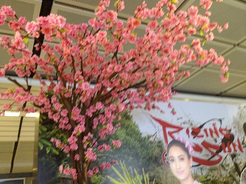 サクラの花に、