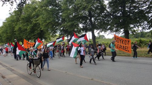 パレスチナの国旗を掲げる人々