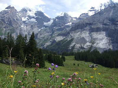 色とりどりの草花たちと、スイスの山々。道は広く歩きやすいです。