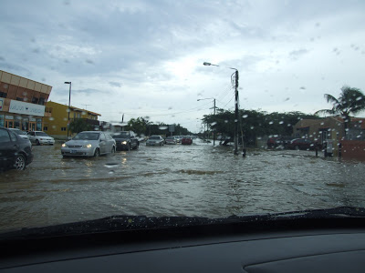 この灰色の空、雨による川の氾濫・・・典型的なオランダの悪天候。
