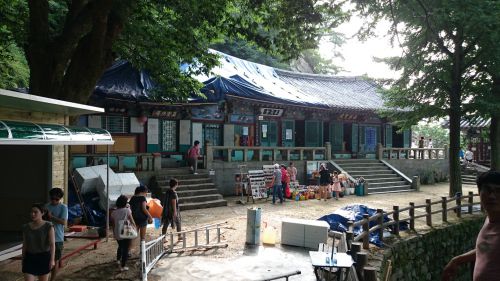 ゴラン寺のゴランとは、ゴラン草のことで、日本語では「ミツデウラボシ」