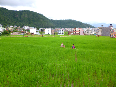 降りそうで降らないもどかしい空模様