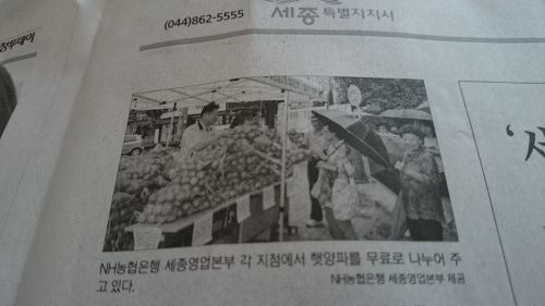 農協銀行による玉ねぎ顧客無料配布を伝える記事（チュンチョントゥデイ）