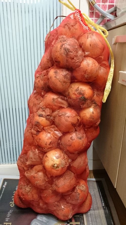我が家が購入した玉ねぎ（ひとつ腐ってましたが・・・）２０キロ