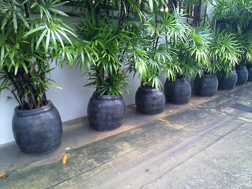 洪水になりやすいエリアがあるそうです