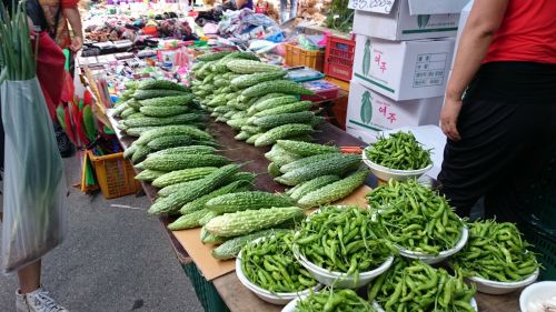 乾燥物だけでなく、生のゴーヤも簡単に手に入るようになりました