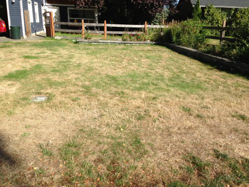 乾燥した茶色の芝生に、焚き火の火が飛び火したら…