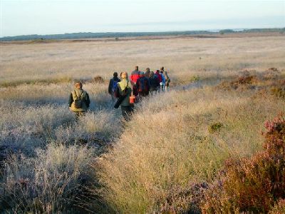 オランダの『サファリ』を歩く観光客たち