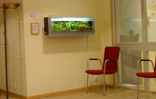 歯医者の待合室の熱帯魚水槽