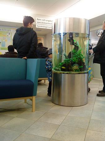 診療所の熱帯魚水槽、多くの来院者に親しまれています。