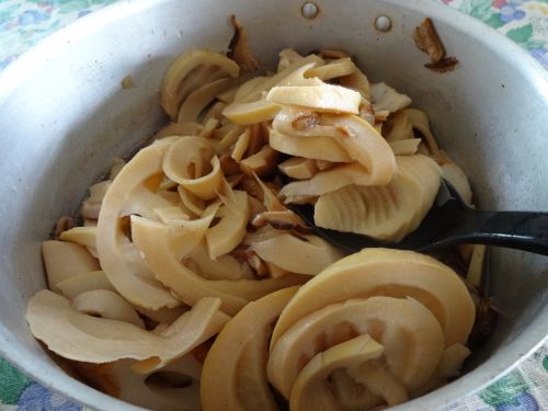 ブラジルの日本人の家庭で料理したタケノコの煮物