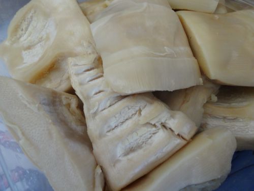 ブラジルで塩漬けしたタケノコ