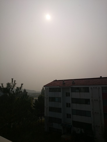 美しい紅葉も、白く濁った空気で台なしです