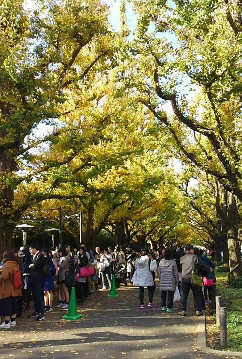 紅葉の下の大行列。