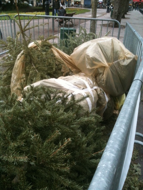 無料のツリー回収場所