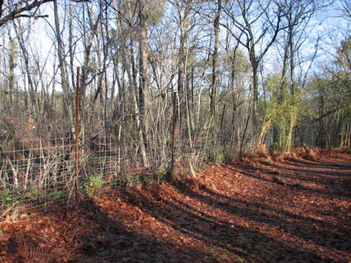 私有地と狩猟可能な場所の区切り