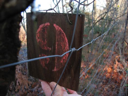 ナンバリングがされています