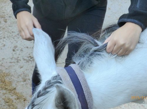 自分と同じく、馬の鬣を三つ編みしている人もいました！
