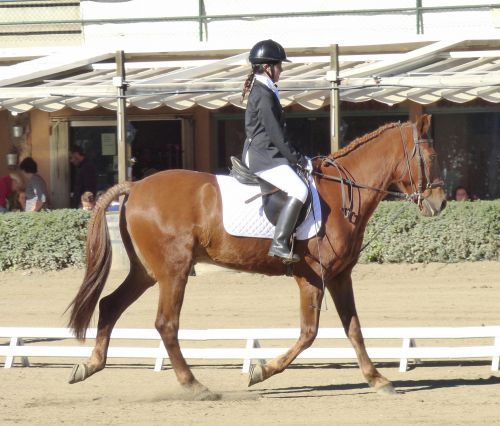 あ！この馬も三つ編みされていますね〜。