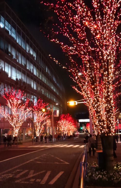 キラキラ光るライトが奥までずらーと光っています。