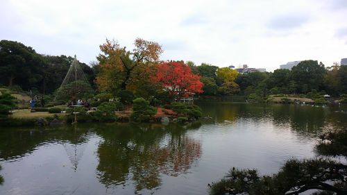 大きな池が目の前に広がります。