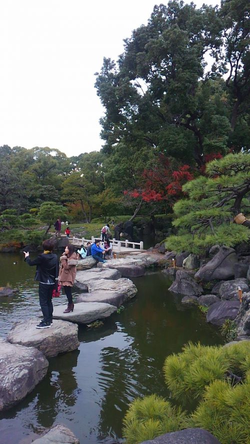 この飛び石も結構アドベンチャー。