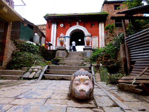 おかしな位置に一匹だけ...