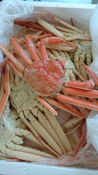 ヨンドクから直送、宅配で届いた蒸しデゲ