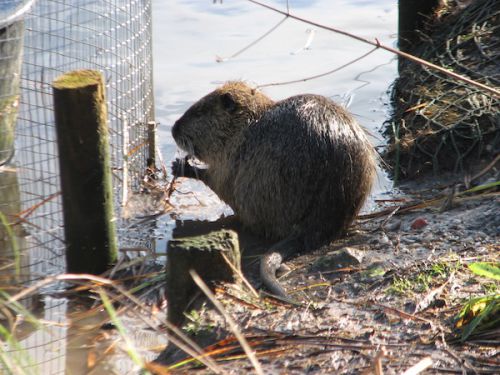 目をつむってもぐもぐ食べる姿はなんとも可愛らしい