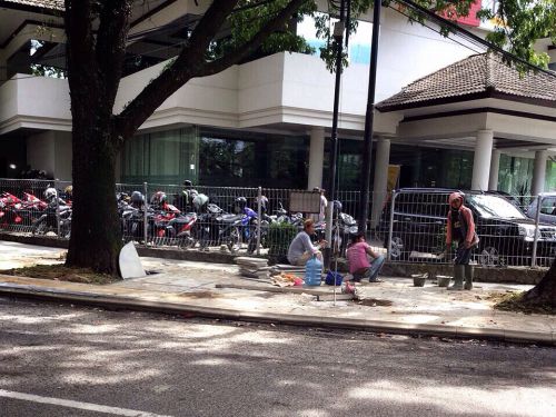 仕事しているのかな？と思わせる、のどかな風景