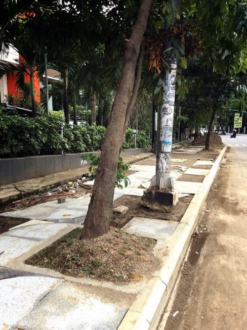 何回通っても、ほとんど進んでいる気配がない歩道工事