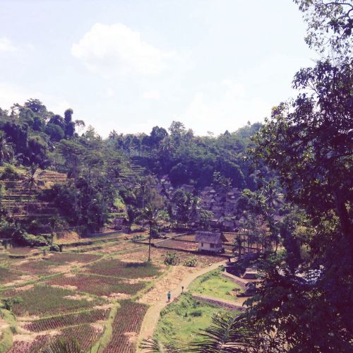 龍の村。奥に家々が見えます