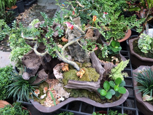 盆栽を思わせるような寄せ植え。鳥やトラのマスコットが可愛い