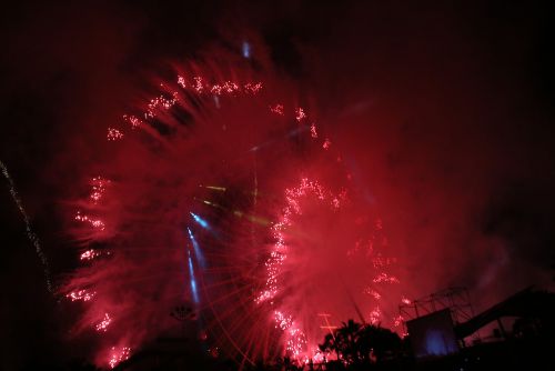 観覧車を花に見立てた花火