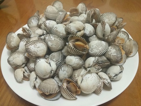 小さいサイズ１キロ7000ウォン（約740円）で買った「ッゴマッ（灰貝）」