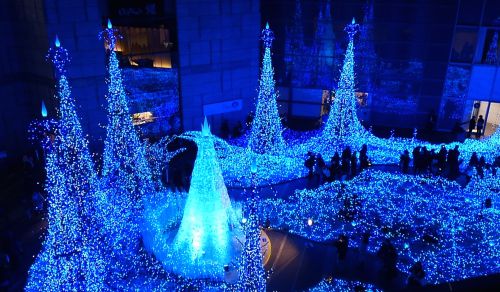 設置場所が地下なので、上からも見ることができます。