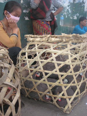 鳥バザールにて。