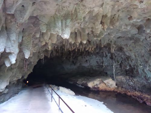 イキガ洞の入口。天井の鍾乳石を見てください。